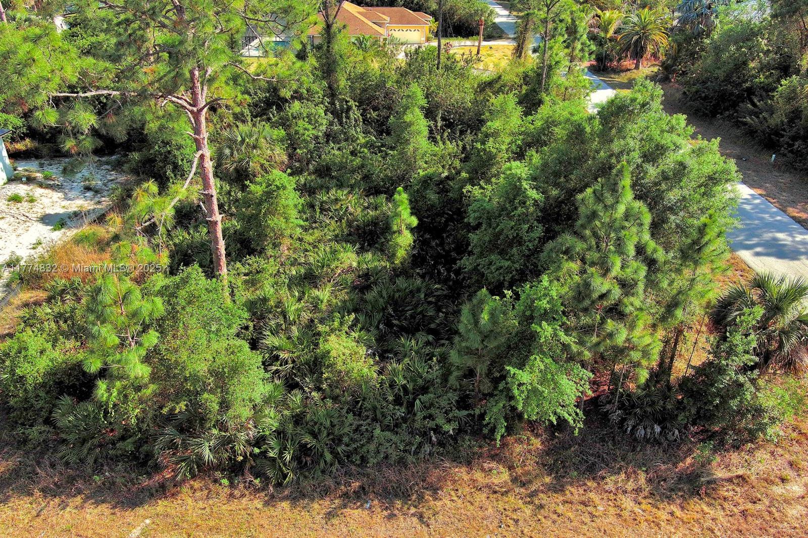 An aerial view shows a densely wooded, undeveloped residential lot with surrounding paved roads — 2500 E 9th St, Lehigh Acres FL 33936, LEHIGH ACRES, FL
