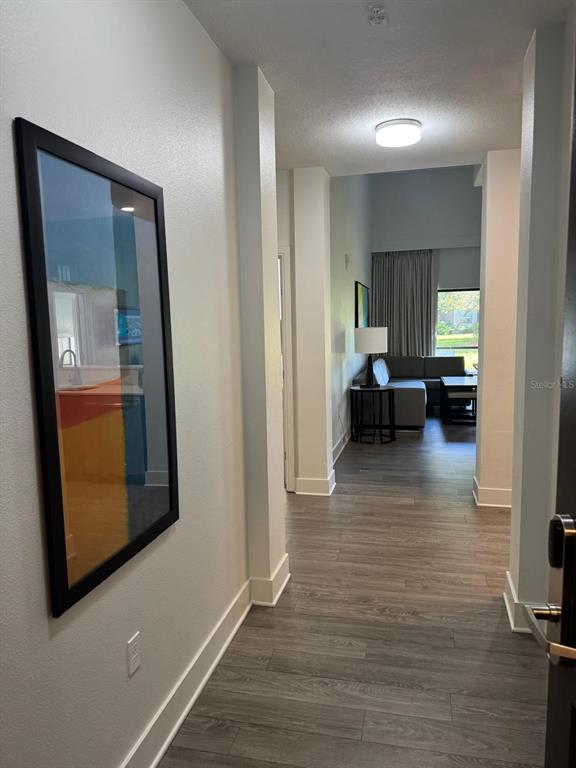 A hallway with wood-look flooring leads to a living area with a sofa and curtains — 14501 GROVE RESORT AVENUE UNIT 3135, WINTER GARDEN, FL