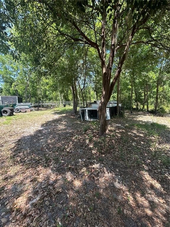 1735 GRAYSON DRIVE, ORLANDO, FL — photo 3 of 6