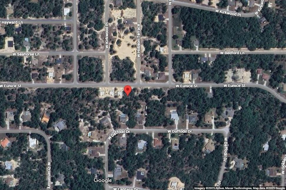 This is a satellite map view showing a residential area with a red location pin — 3248 W EUNICE DRIVE, CITRUS SPRINGS, FL