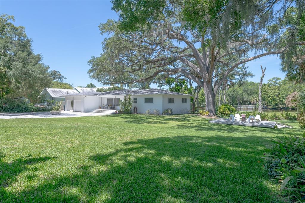 A white single-story house sits on a large lawn beneath a large oak tree — 7308 N OLA AVENUE, TAMPA, FL