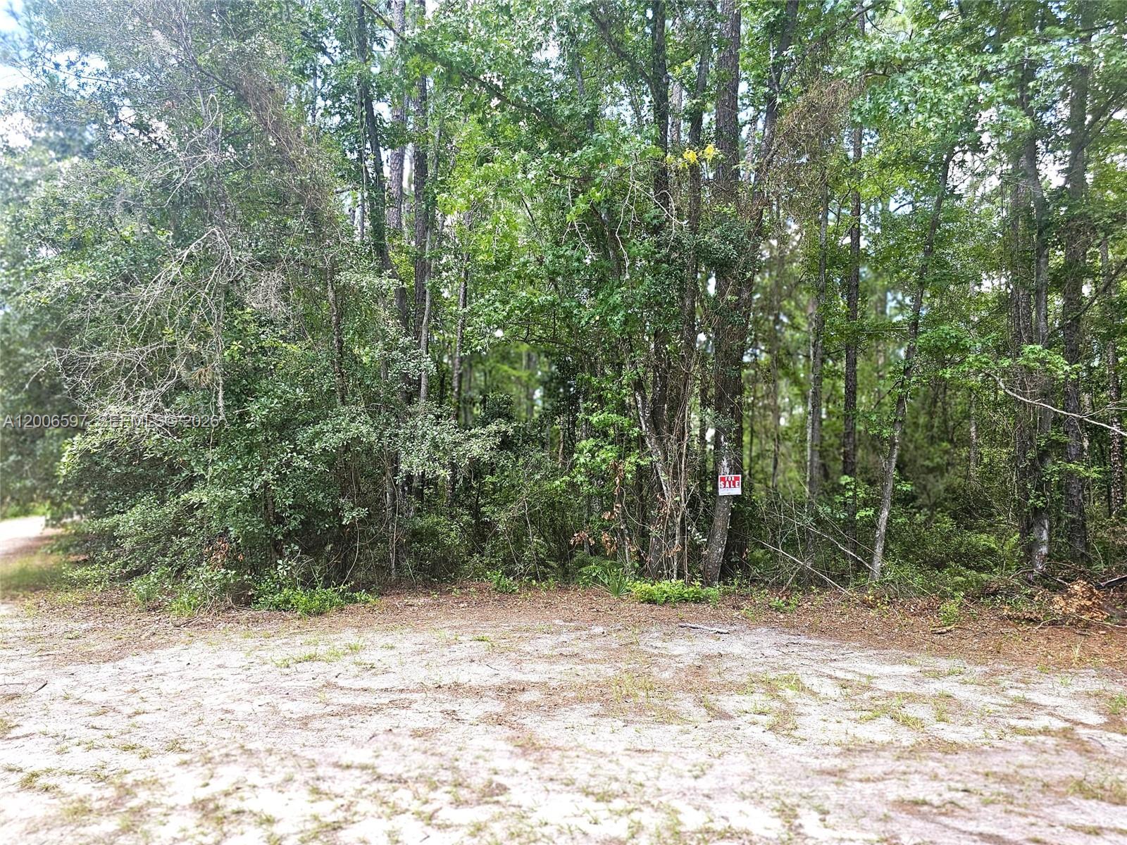 A wooded lot with a for sale sign sits behind a sandy clearing — No situs SE 2nd ST, Palatka FL 32177, PALATKA, FL