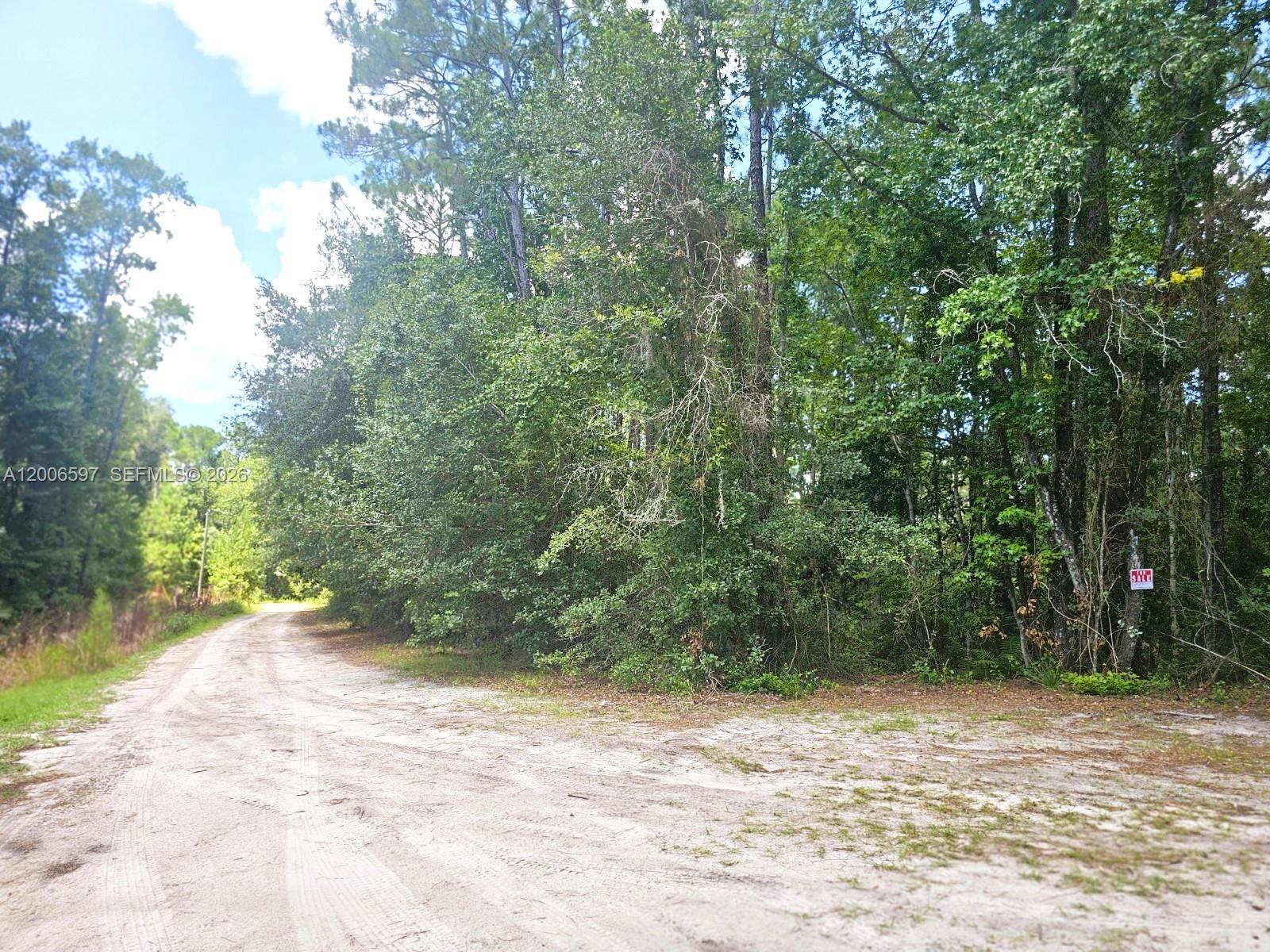 A dirt road leads past a dense wooded lot with a for sale sign — No situs SE 2nd ST, Palatka FL 32177, PALATKA, FL