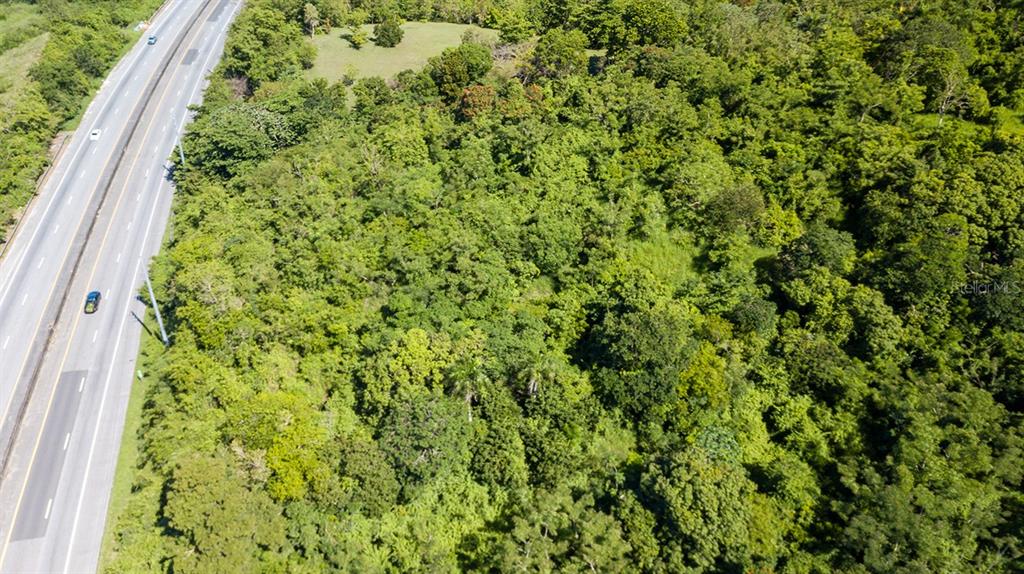 An aerial view shows a dense, wooded lot situated directly adjacent to a multi-lane highway — PR 2 KM 176.9 GUAMA, SAN GERMAN, PR