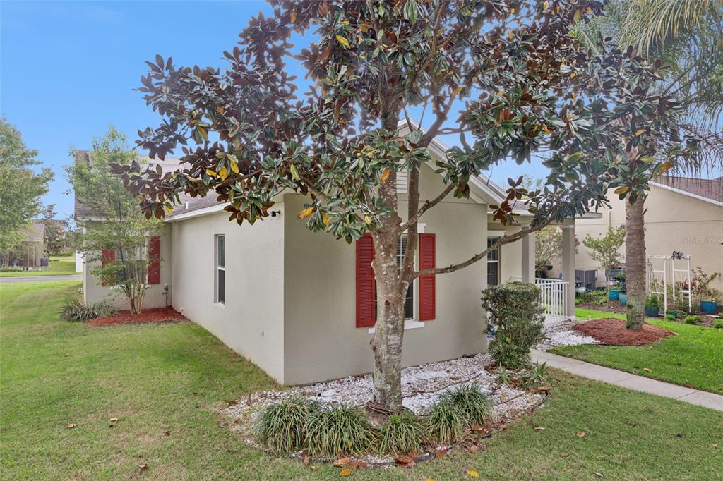 A side view of a beige house with red shutters and a large magnolia tree — 1916 RUCKMAN PLACE, APOPKA, FL