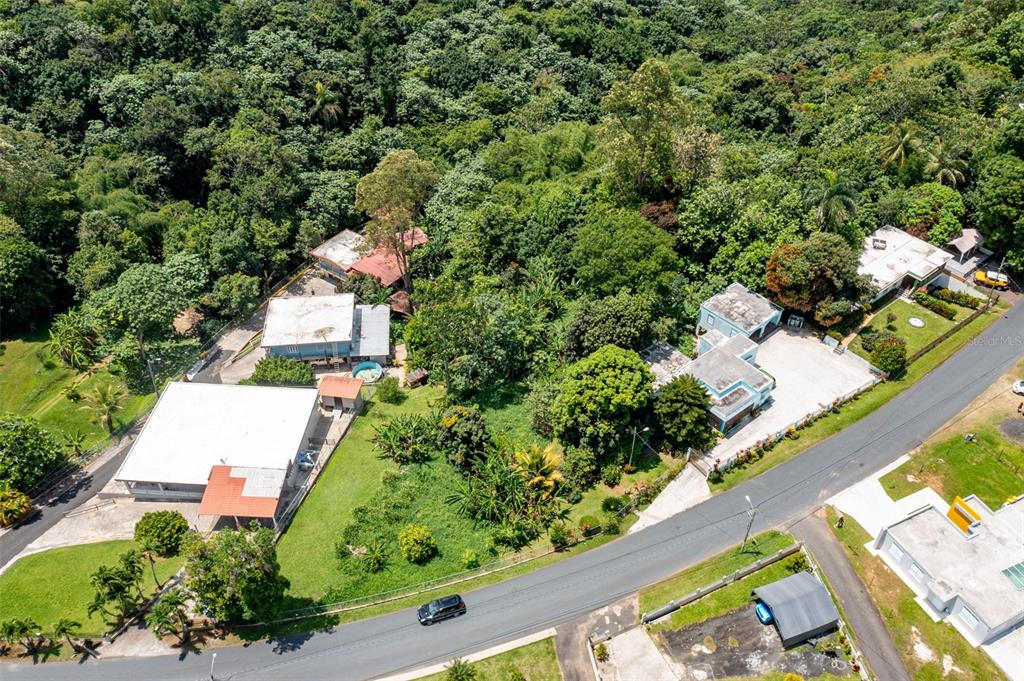An aerial view shows several houses surrounded by lush green trees and a paved road — Cuchillas Ward STATE ROAD 618 KM1.6, MOROVIS, PR