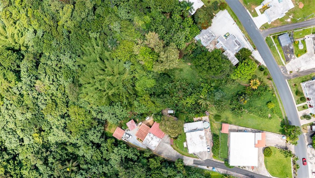 An aerial view shows several houses surrounded by dense forest and a paved road — Cuchillas Ward STATE ROAD 618 KM1.6, MOROVIS, PR