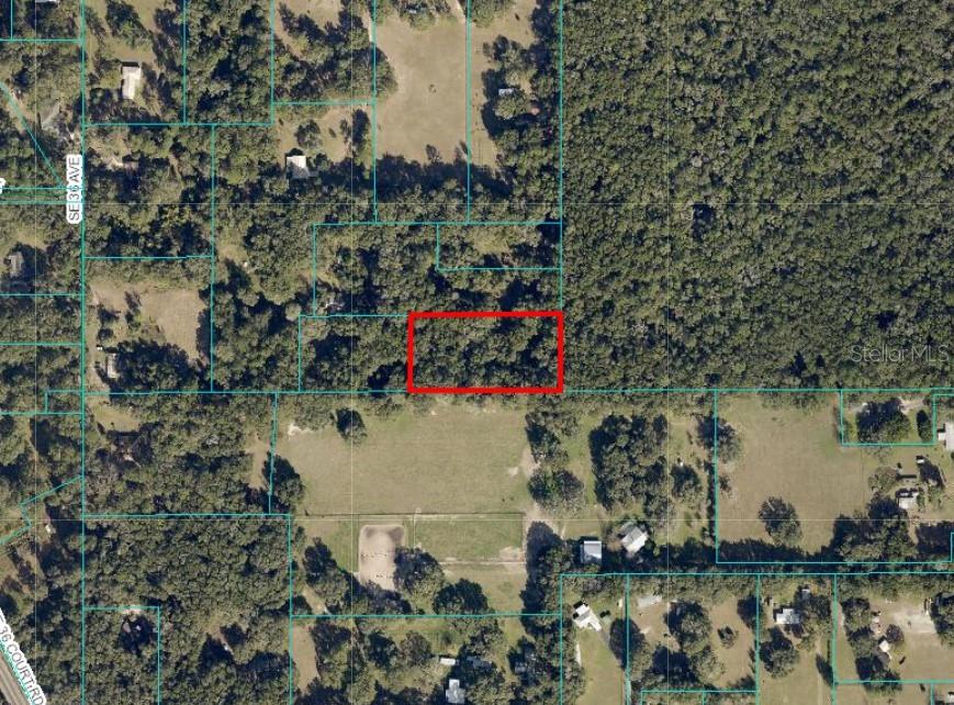 UNDETERMINED, OCALA, FL — photo 2 of 4
