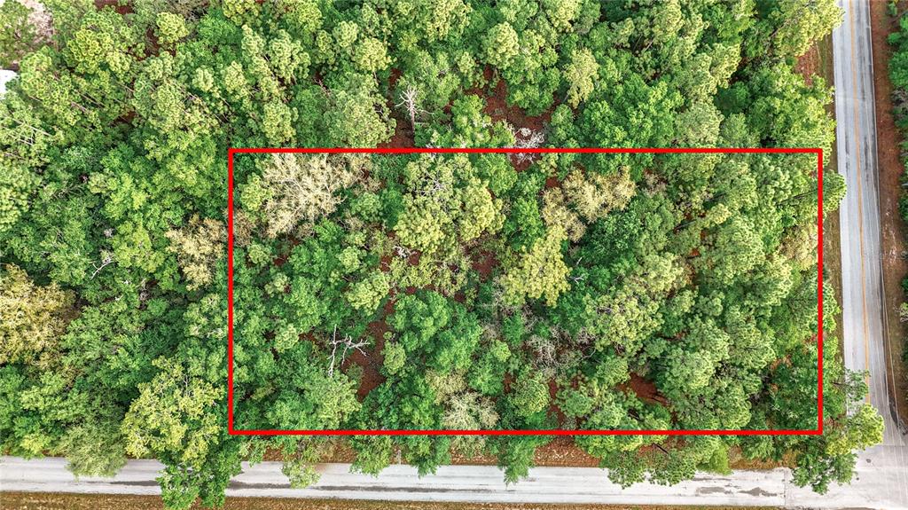 An aerial view shows a rectangular plot of wooded land bordered by two paved roads — 0 SW BREEZY POINT DRIVE, DUNNELLON, FL