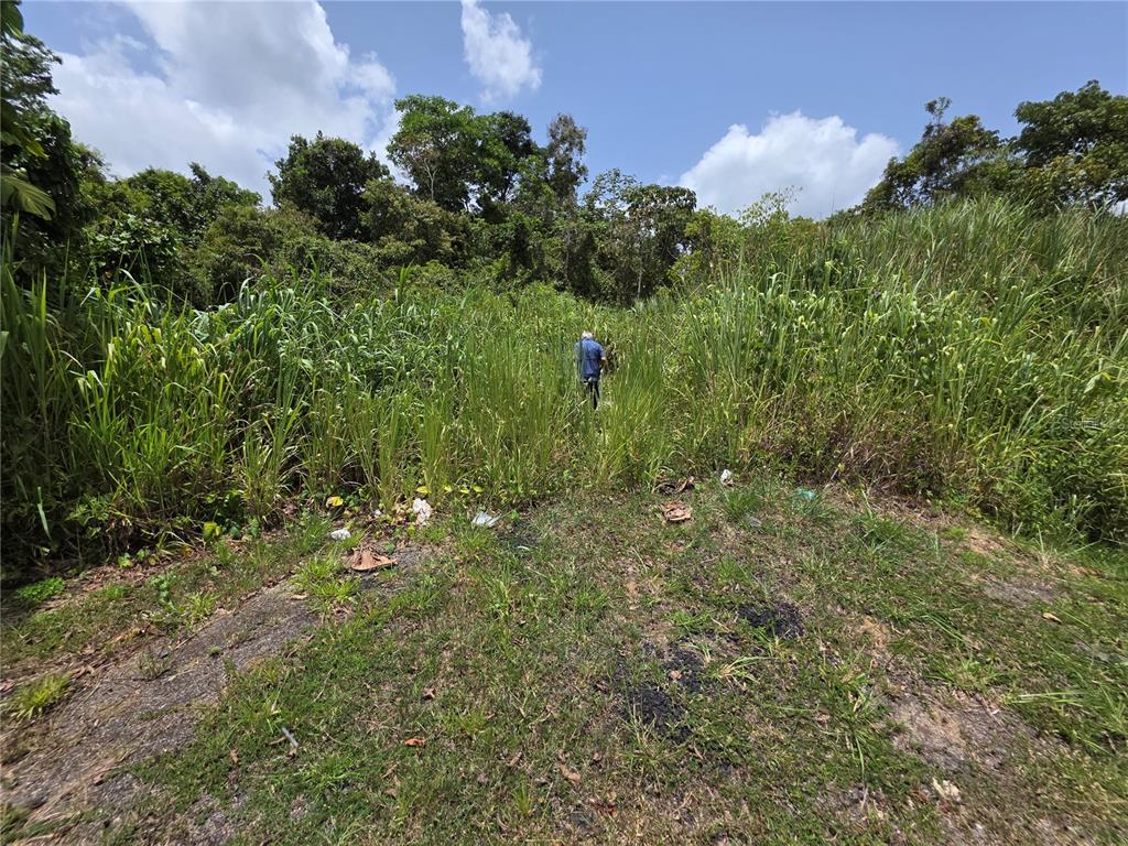 CARR-137, MOROVIS, PR — photo 2 of 4