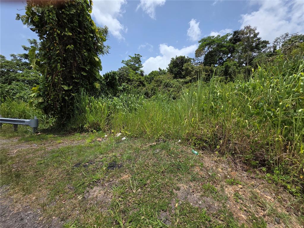 CARR-137, MOROVIS, PR — photo 3 of 4