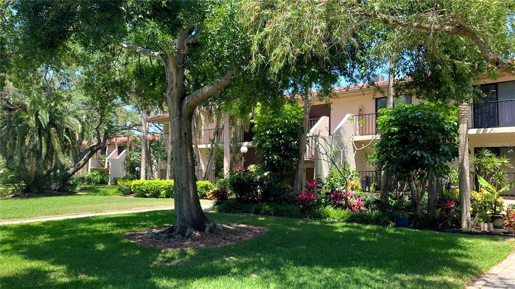 A multi-story apartment building with balconies is surrounded by trees and a grassy lawn — 6462 WILD OAK BAY BOULEVARD UNIT 245, BRADENTON, FL