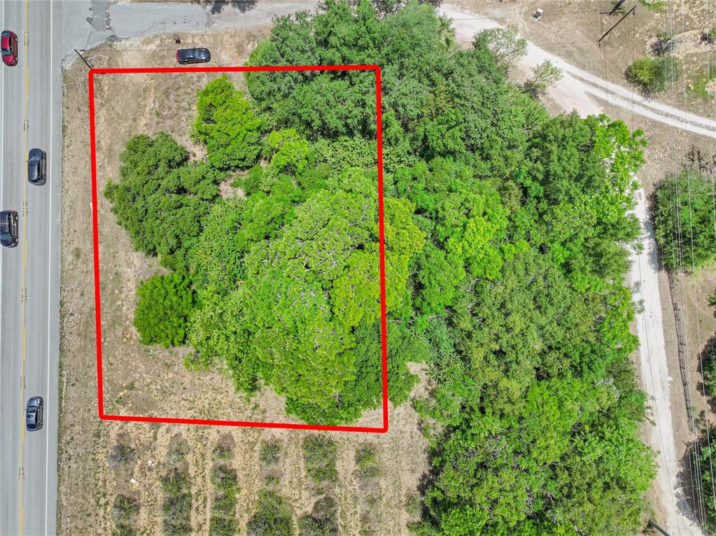An aerial view shows a rectangular plot of land outlined in red, featuring dense trees — SR-17, HAINES CITY, FL