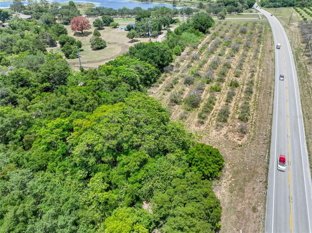An aerial view shows a wooded lot adjacent to a road and a citrus grove — SR-17, HAINES CITY, FL