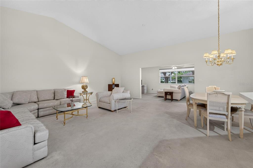 A spacious living and dining area with neutral carpeting, vaulted ceilings, and a gold chandelier — 1023 MCDANIEL STREET UNIT 139, SUN CITY CENTER, FL