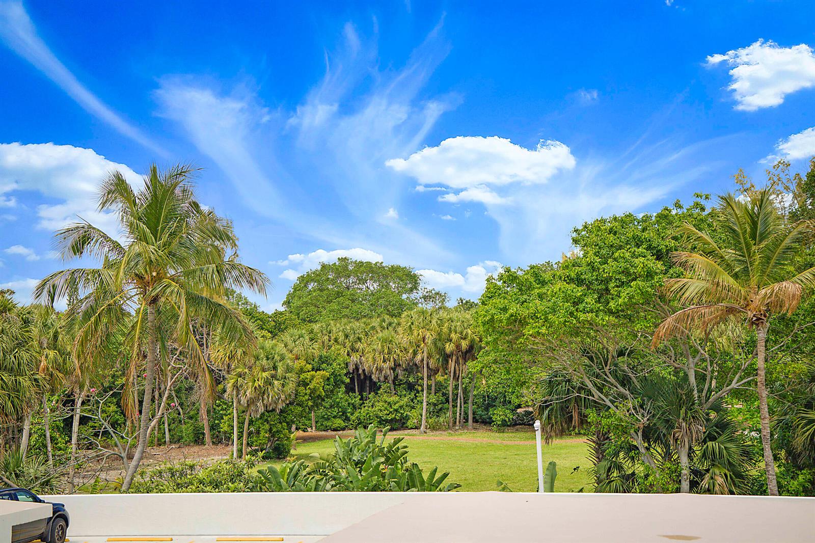 A view of a grassy yard surrounded by lush palm trees under a blue sky — 2121 N Ocean Boulevard # 302e, Boca Raton FL 33431, BOCA RATON, FL