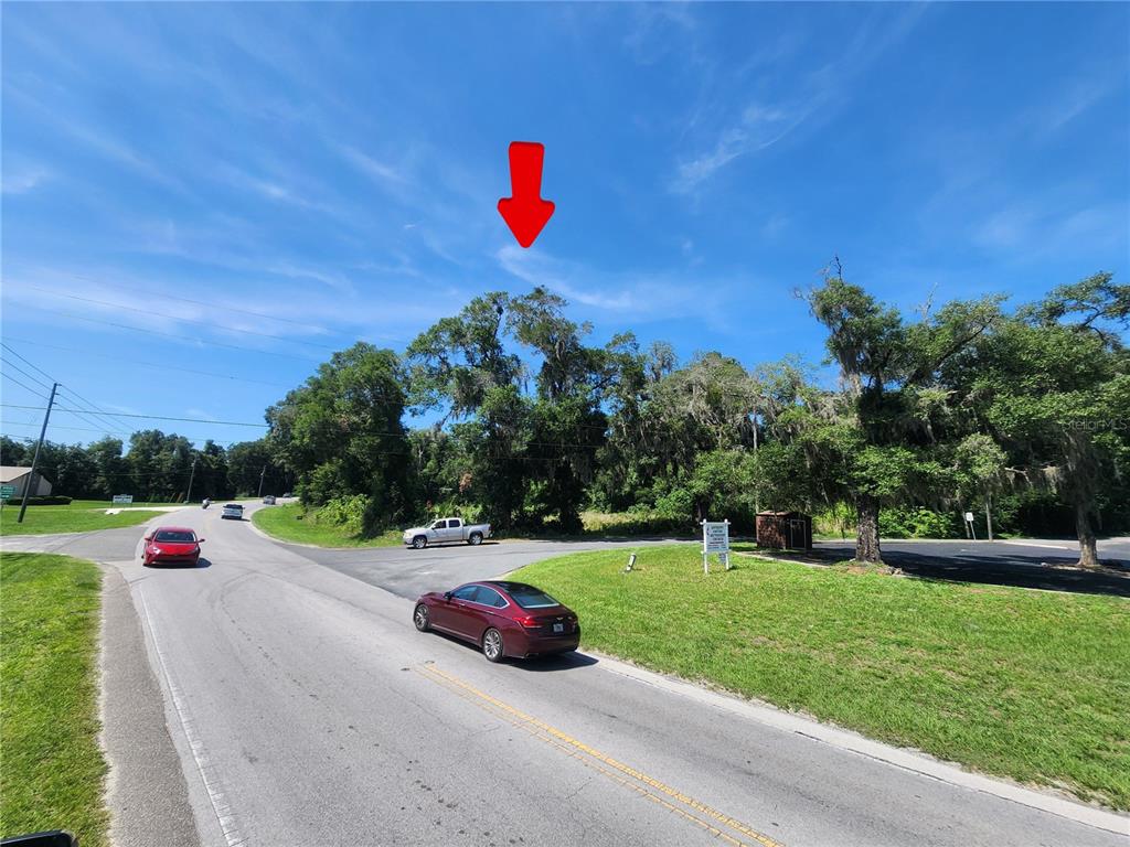 A red arrow points toward a line of trees along a road with parked cars — TBD 97TH STREET ROAD, ANTHONY, FL