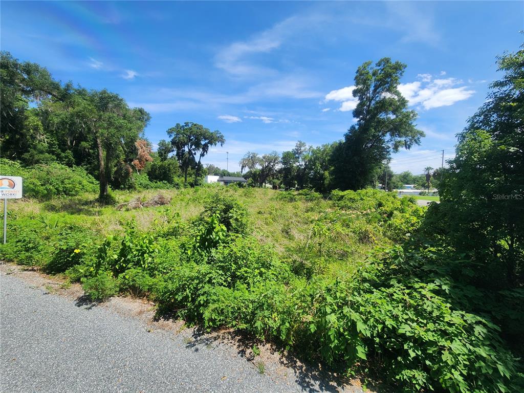 An overgrown, vacant lot is viewed from an adjacent paved road under a blue sky — TBD 97TH STREET ROAD, ANTHONY, FL