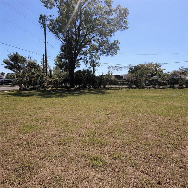 A grassy, vacant lot features a large tree and surrounding vegetation under a clear sky — 2500 N 56TH STREET UNIT 2, TAMPA, FL