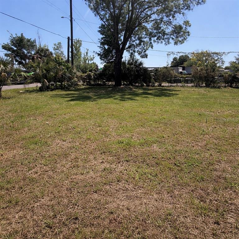 A grassy, vacant lot features a large tree and surrounding vegetation under a clear sky — 2500 N 56TH STREET UNIT 2, TAMPA, FL