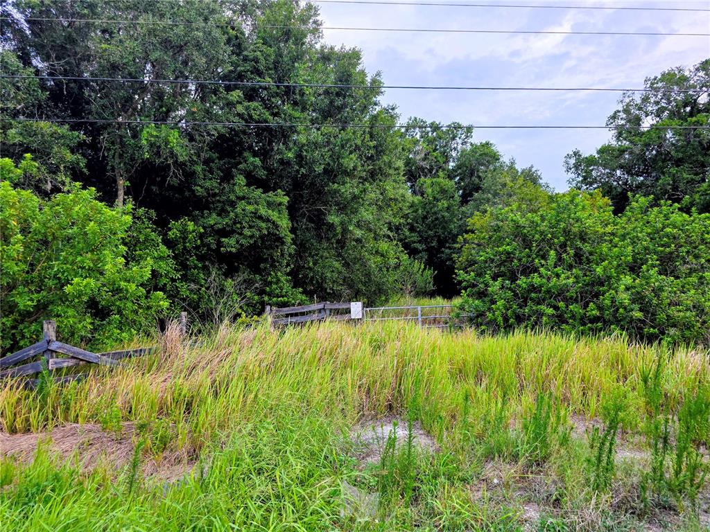 A grassy field leads to a wooden fence and dense trees under a cloudy sky — AVON PARK CUTOFF ROAD, FORT MEADE, FL