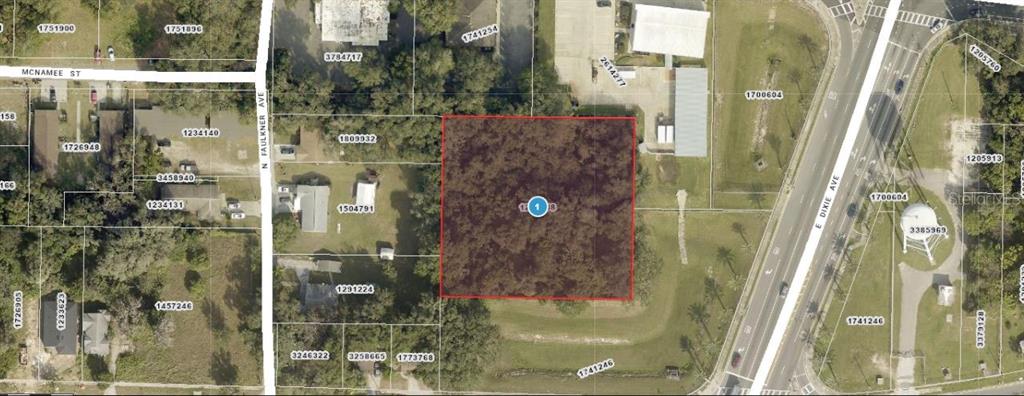 This is an aerial map showing a rectangular wooded lot highlighted in red — 1216 E MAIN STREET, LEESBURG, FL