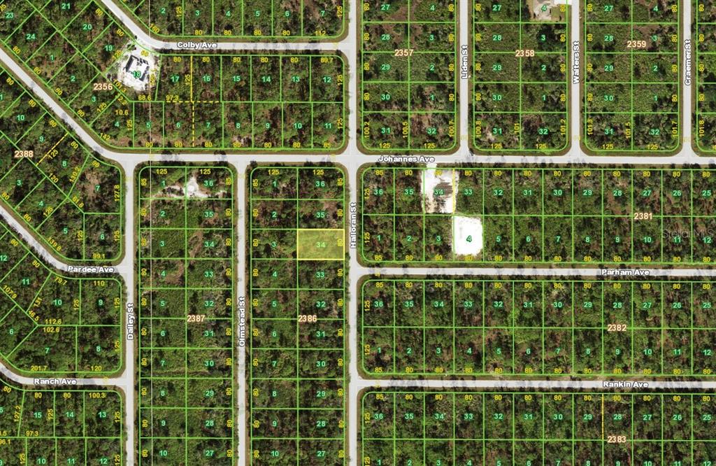 This is a satellite map showing a grid of residential land parcels and streets — 399 HALLORAN STREET, PORT CHARLOTTE, FL