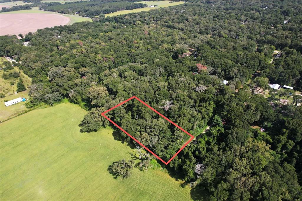 An aerial view shows a rectangular wooded lot outlined in red bordering a grassy field — NW 73RD TERRACE, TRENTON, FL