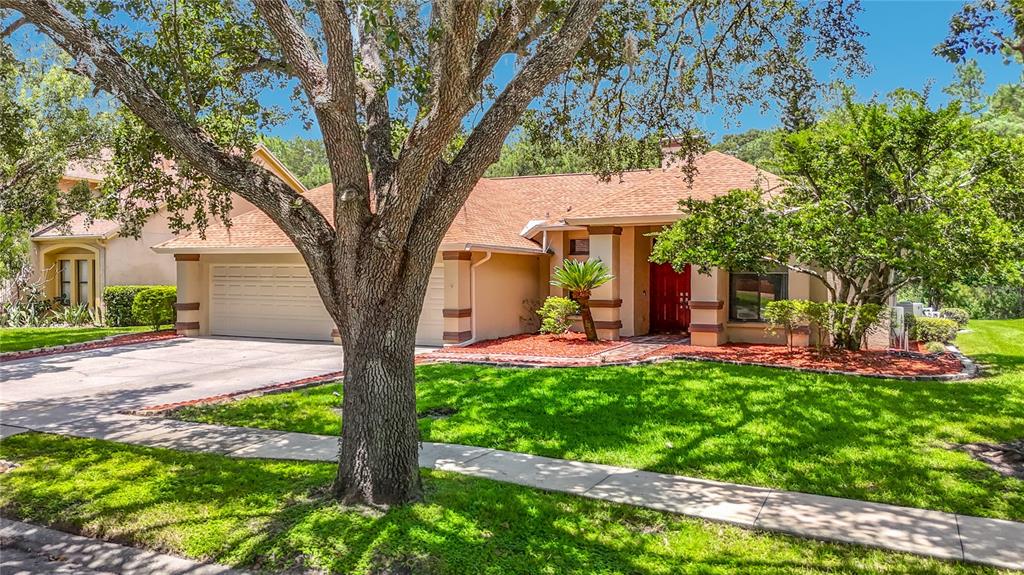 A single-story house with a tan exterior, red roof, and a large tree in front — 16040 PENWOOD DRIVE, TAMPA, FL