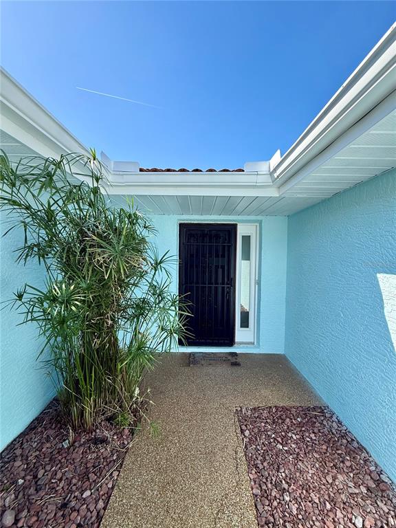 An exterior view shows a front entryway with a black security door and light blue walls — 9801 SAN MORENO WAY, PORT RICHEY, FL