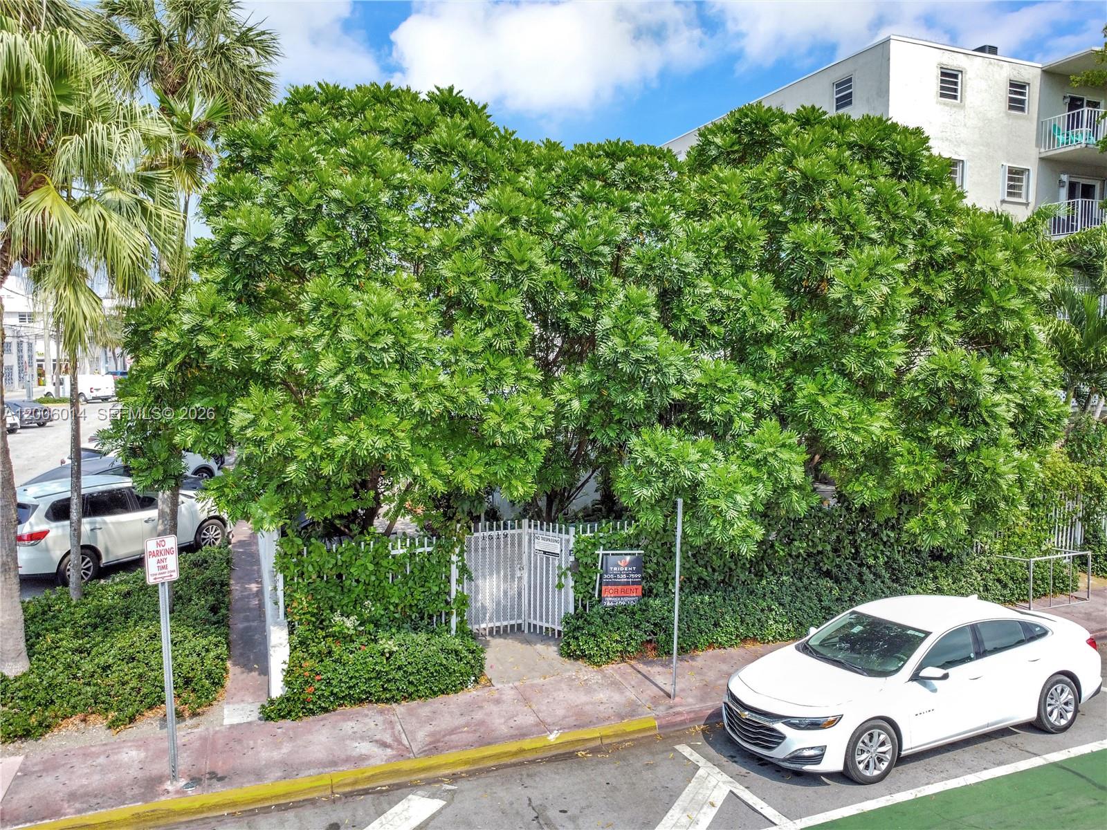 MIAMI BEACH, FL — photo 2 of 20
