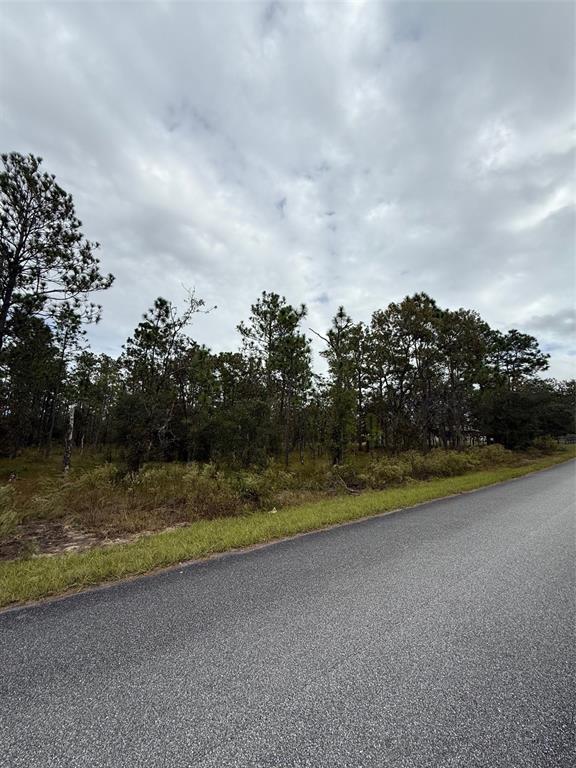 A paved road runs alongside a wooded lot with scattered trees and low-lying vegetation — NW AMBERJACK AVENUE, DUNNELLON, FL