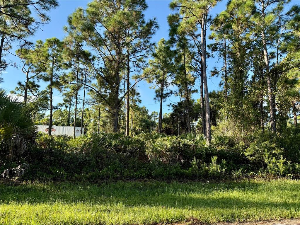 26350 EAGER ROAD, PUNTA GORDA, FL — photo 2 of 4
