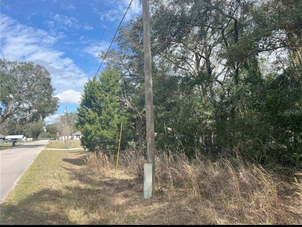 TBD 94TH AVE, BELLEVIEW, FL — photo 3 of 8