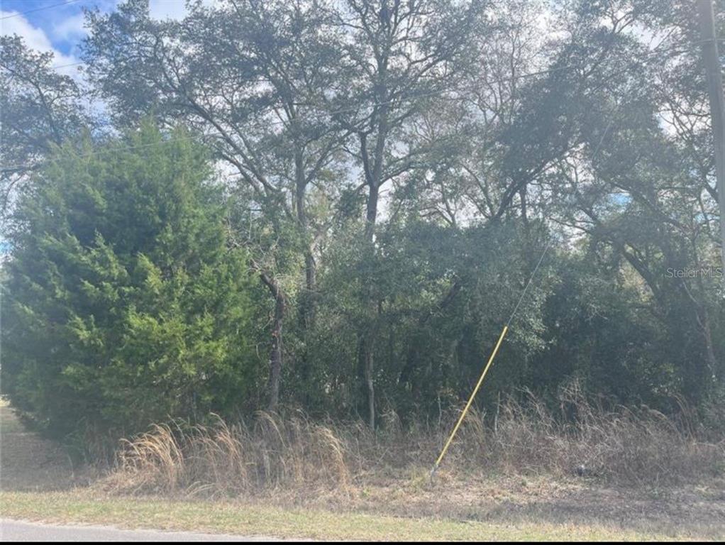 TBD 94TH AVE, BELLEVIEW, FL — photo 4 of 8