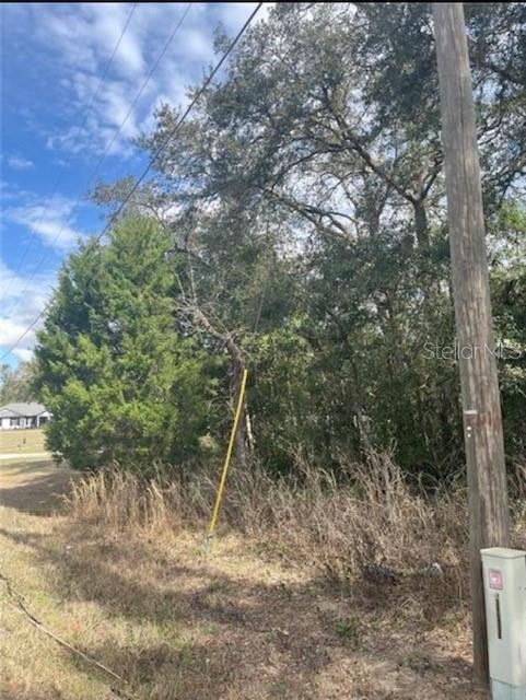 TBD 94TH AVE, BELLEVIEW, FL — photo 5 of 8