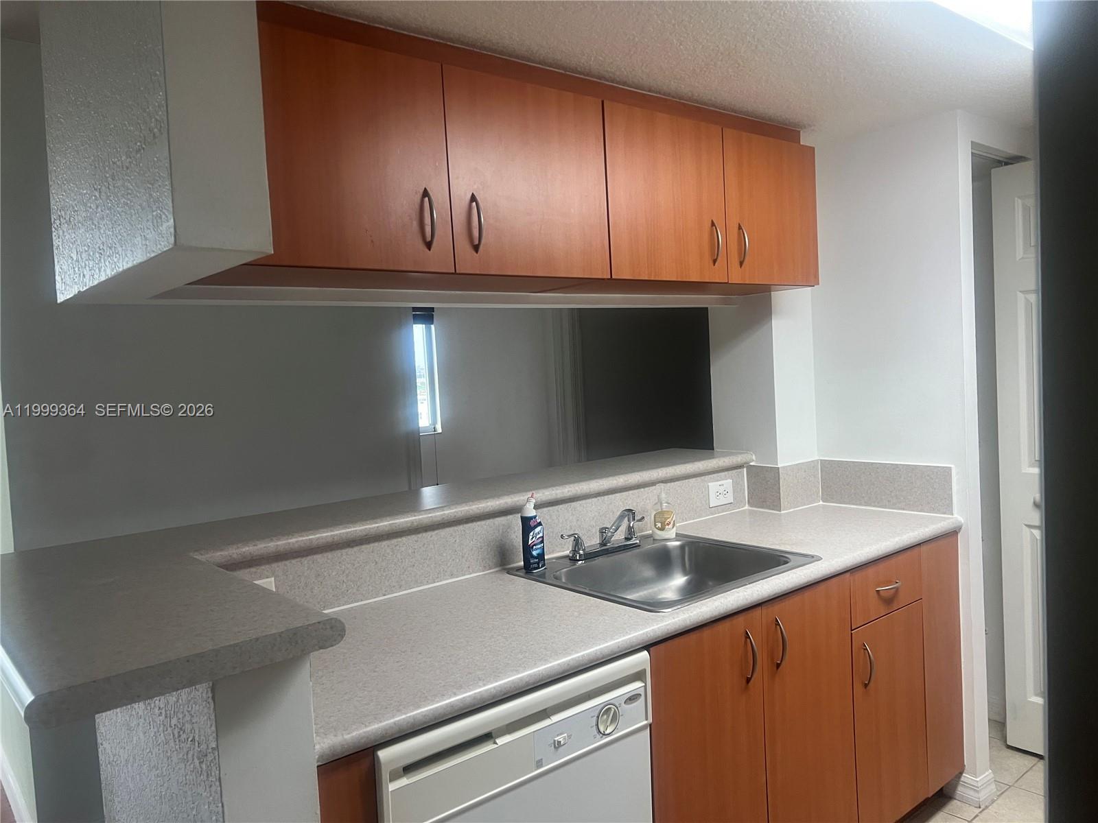 A kitchen features wood-tone cabinets, a stainless steel sink, and a white dishwasher — 816 NW 11th St # 1002, Miami FL 33136, MIAMI, FL