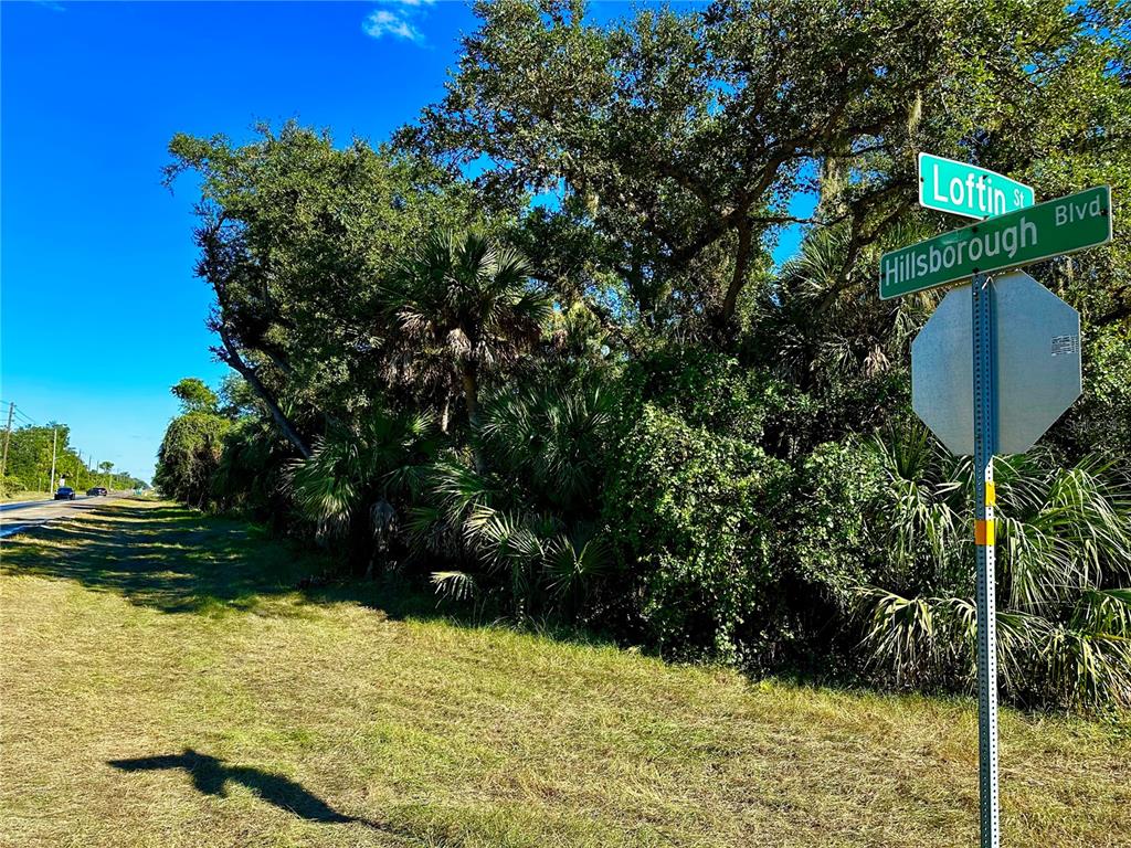 A street sign at the intersection of Loftin Street and Hillsborough Boulevard stands near trees — 19129 HILLSBOROUGH BOULEVARD, PORT CHARLOTTE, FL