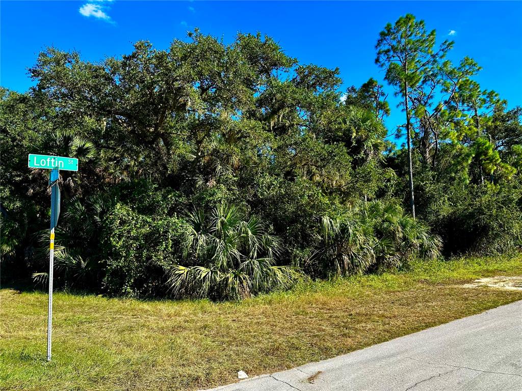 A street sign for Loftin St stands beside a dense, wooded lot with tall trees — 19129 HILLSBOROUGH BOULEVARD, PORT CHARLOTTE, FL