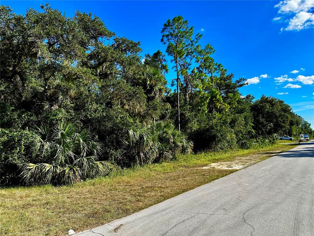 A paved road runs alongside a dense, wooded lot under a clear blue sky — 19129 HILLSBOROUGH BOULEVARD, PORT CHARLOTTE, FL