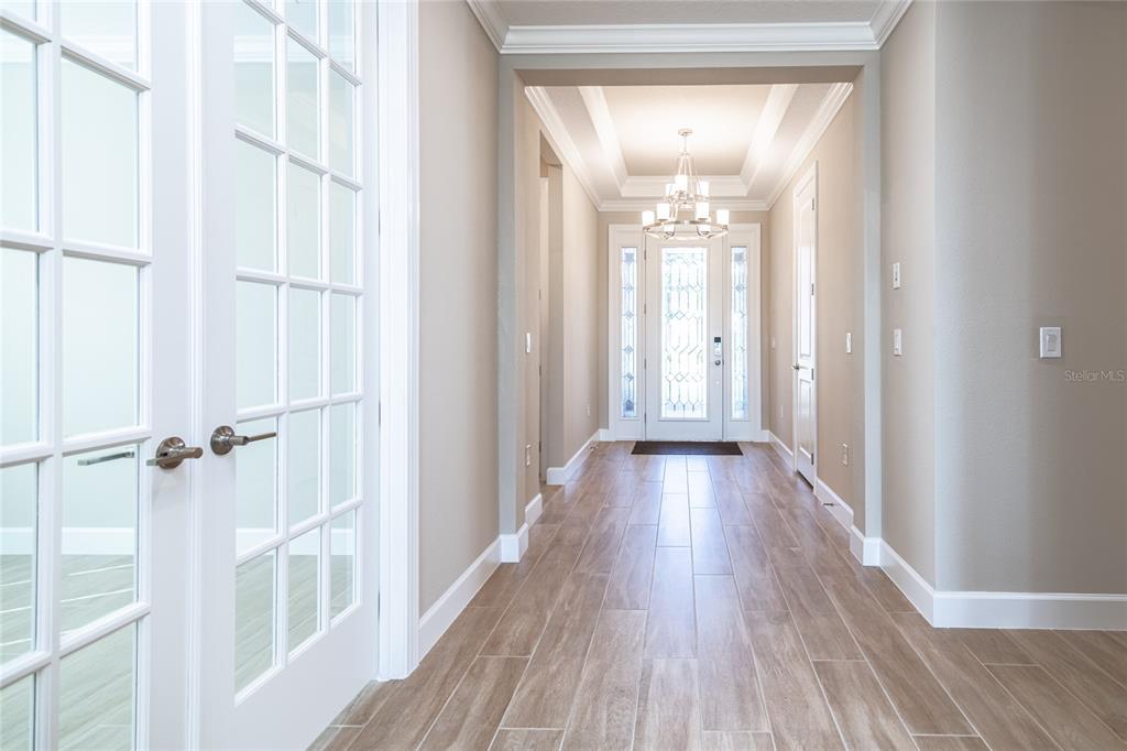 A bright hallway features wood-look tile flooring, white trim, and a glass-paneled front door — 4798 ROSATTI ROAD, WESLEY CHAPEL, FL