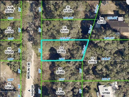 4842 MERLIN CIR CIRCLE, DADE CITY, FL — photo 2 of 6