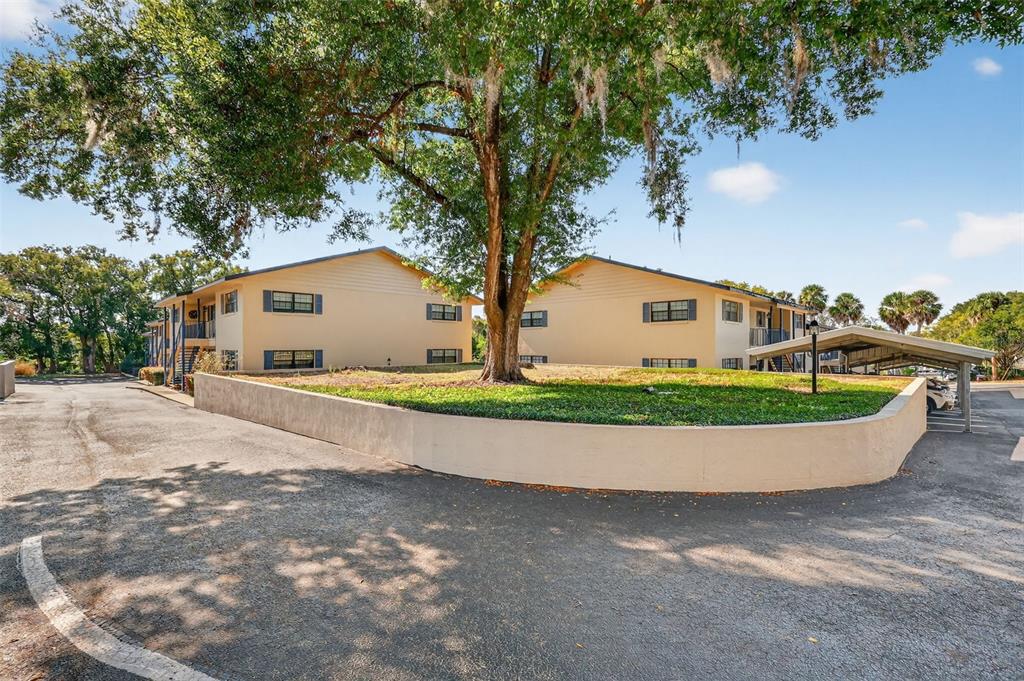 Two-story apartment buildings sit behind a curved concrete retaining wall and a large tree — 110 N TREMAIN ST UNIT 105, MOUNT DORA, FL