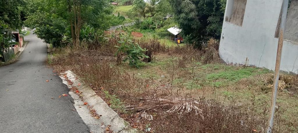 A paved road runs alongside a sloped, overgrown lot next to a white concrete building — Carr. 435 COMUNIDAD PERCHAS II, CALLE ZAFIRO, SAN SEBASTIAN, PR
