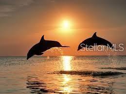 Two dolphins jump out of the ocean water during a sunset — 17188 KELLOG AVENUE, PORT CHARLOTTE, FL