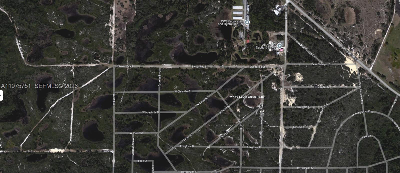 This is an aerial map showing a grid of undeveloped streets and wooded lots — 449 S Cross Road, Sebring FL 33870, SEBRING, FL