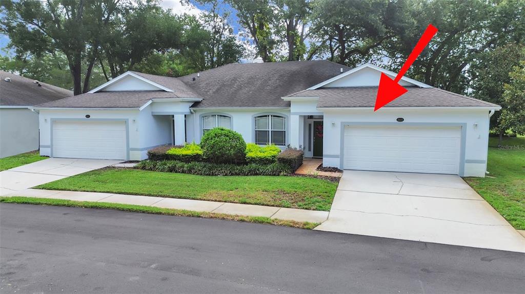 A single-story house with a white exterior, two garage doors, and a landscaped front yard — 8609 ALEXANDRA ARBOR LANE, TEMPLE TERRACE, FL