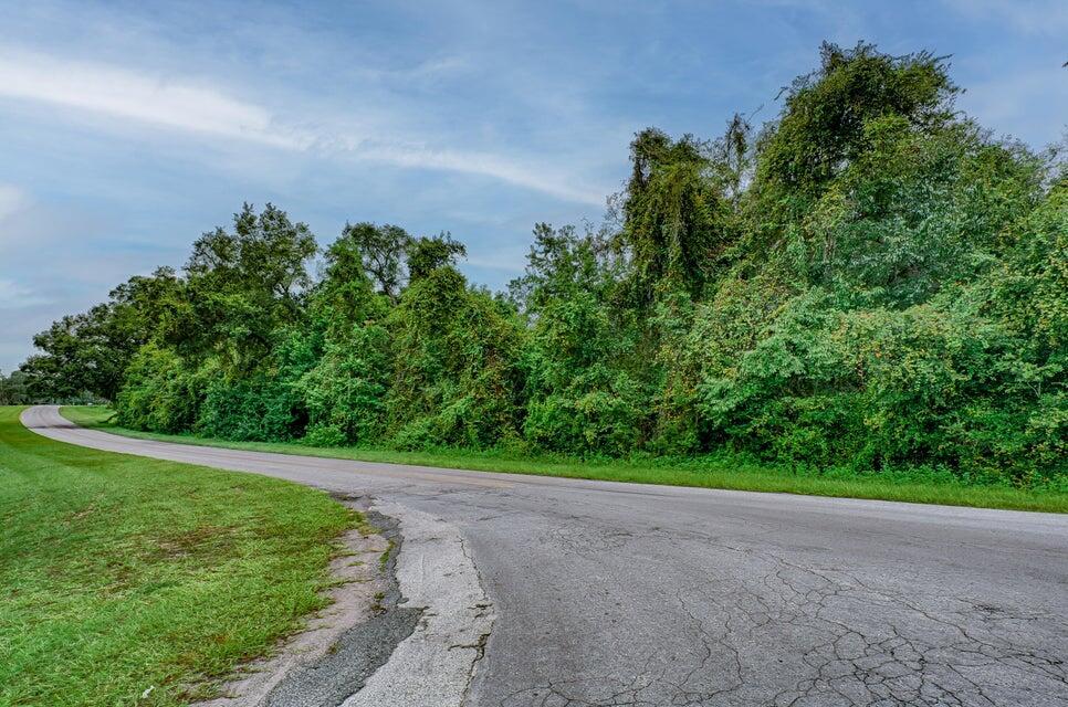 A paved road curves past a dense line of trees and green grass under a sky — 0000 SE 9th Avenue, Starke FL 32091, STARKE, FL