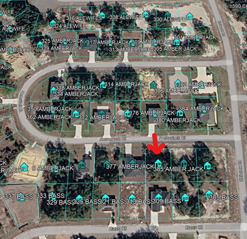 377 AMBERJACK COURT