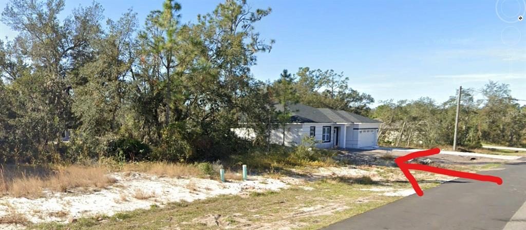 A newly constructed single-story house sits on a lot next to a wooded area — 377 AMBERJACK COURT, KISSIMMEE, FL